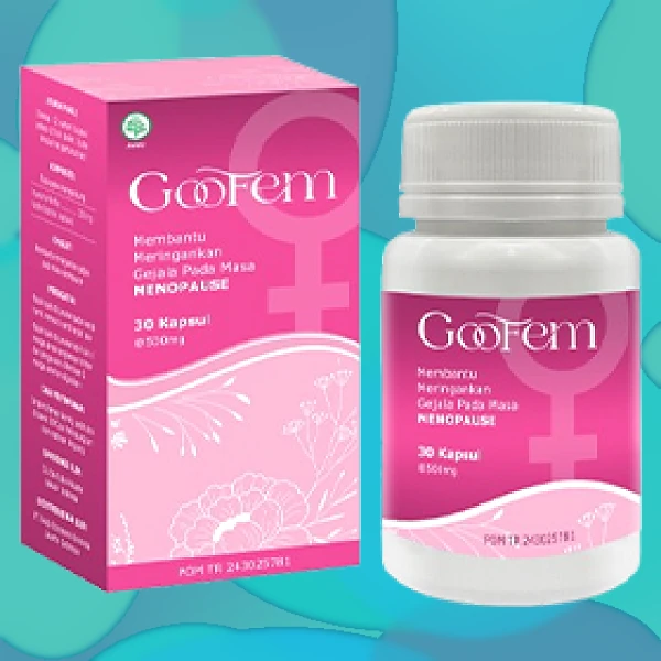 GOOFEM