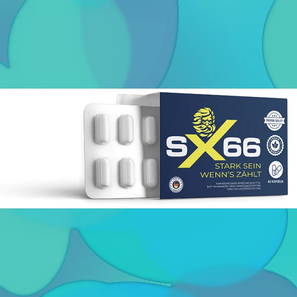 SX 66
